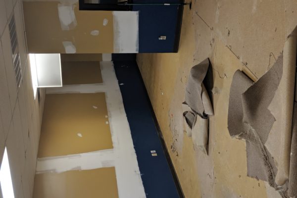 00000IMG_00000_BURST20190619021555323_COVER