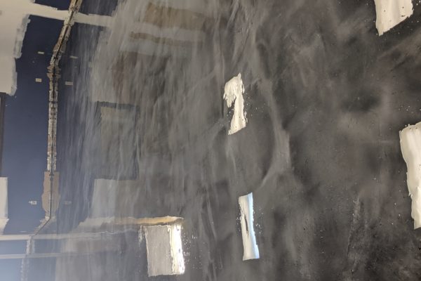 00000IMG_00000_BURST20190620235922539_COVER