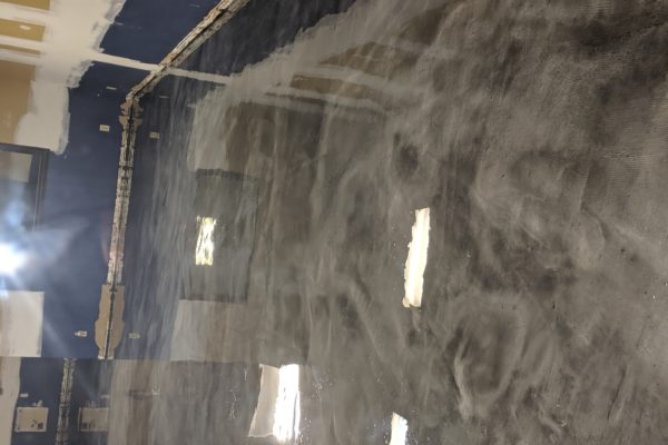 00100lPORTRAIT_00100_BURST20190620235855316_COVER